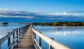 Urunga Boardwalk in Urunga, Coffs Harbour 